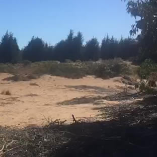 Condominio Aquamarina